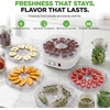 image:imageNutrichef Food Dehydrator Machine  Dehydrates Beef Jerky Meat Food Fruit Vegetables amp Dog Treats  Great For At Home Use  HighHeat Circulation for Even Dehydration  5 Easy to Clean TraysWhite