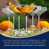 image:imageNutriChef 2 Sets of Crystal Martini GlassUltra ClearElegant Crystal Clear Wine Glass Pair100 Hand BlownDishwasher SafeGreat For DinnerPartiesWeddingAnd ELEGANT Occasions6 pack