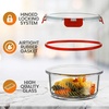 image:image24Piece Glass Food Storage Containers  Stackable Superior Glass Mealprep Containers wNewly Innovated Hinged BPAFree 100 Leakproof Locking Lids  FreezertoOvenSafe  NutriChef NCGLBU5 BlueRed