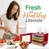 image:imageNutriChef Electric Countertop Food Dehydrator Machine  350Watt Premium MultiTier Meat Beef Jerky Maker FruitVegetable Dryer w 4 Stainless Steel Trays Digital Timer Temperature Control